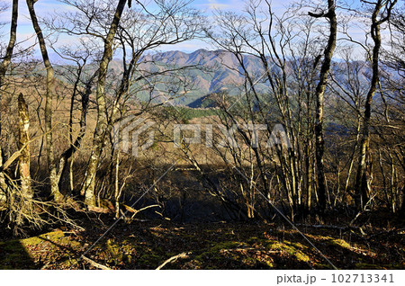 丹沢山地の菰釣山　甲相国境尾根より望む今倉山 102713341
