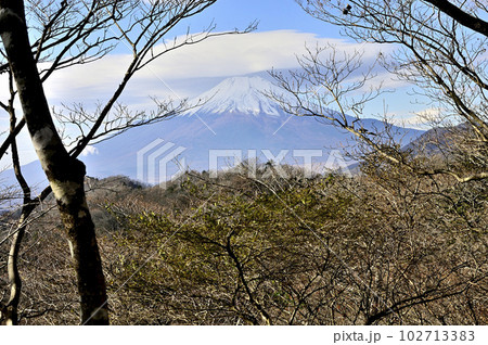 丹沢山地の甲相国境尾根　鳥屋ノ丸より笠雲を被った富士山を望む 102713383