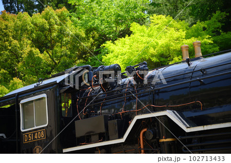 新緑 生田緑地 新緑 生田緑地 102713433