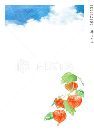 ほおずき ホオズキ 鬼灯 夏　暑中見舞い　背景 フレーム　水彩 イラスト 102714553