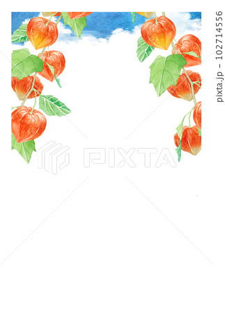 ほおずき ホオズキ 鬼灯 夏 暑中見舞い 背景 フレーム 水彩 イラスト ほおずき ホオズキ 鬼灯 夏 暑中見舞い 背景 フレーム 水彩 イラスト 102714556