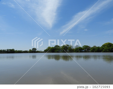 近江八幡の水郷めぐりの風景 近江八幡の水郷めぐりの風景 102715093