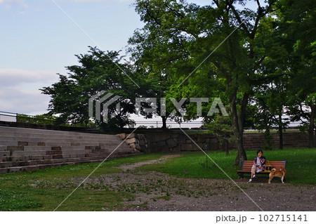 春の大阪城の情景 102715141