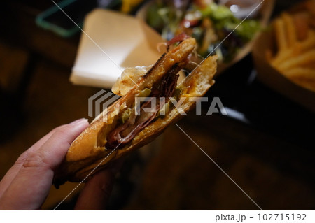 アメリカ　夕飯　サンドイッチ 102715192