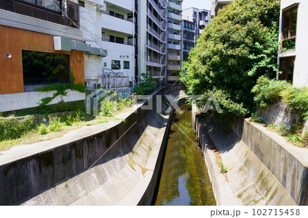 渋谷川／恵比寿駅付近の渋谷橋より（東京都渋谷区） 102715458