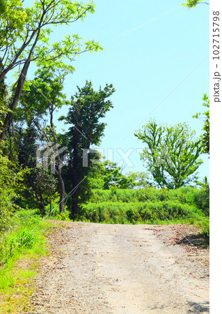 【国指定特別史跡】岩橋千塚古墳群 102715798