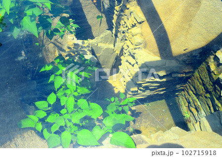 【国指定特別史跡】岩橋千塚古墳群 102715918