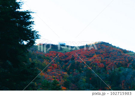 【日本百名山】剣山 紅葉の斜面と山頂に朝日が当たる光景 徳島県三好市 【日本百名山】剣山 紅葉の斜面と山頂に朝日が当たる光景 徳島県三好市 102715983