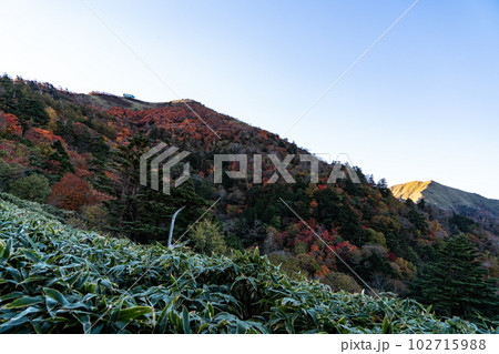 【日本百名山】剣山　朝日が当たる山頂と次郎笈　徳島県三好市 102715988