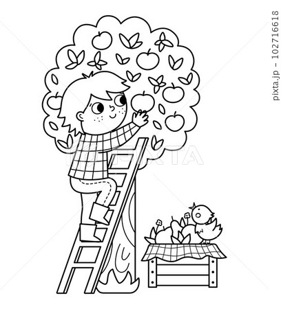 Vector black and white farmer gathering apples from the tree. Cute outline kid doing agricultural work icon. Child on the ladder picking apples. Funny farm illustration or coloring page Vector black and white farmer gathering apples from the tree. Cute outline kid doing agricultural work icon. Child on the ladder picking apples. Funny farm illustration or coloring page 102716618