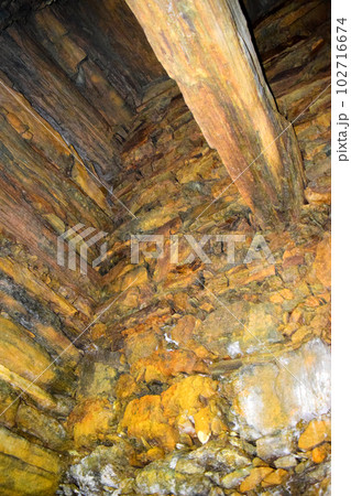 【国指定特別史跡】岩橋千塚古墳群 102716674