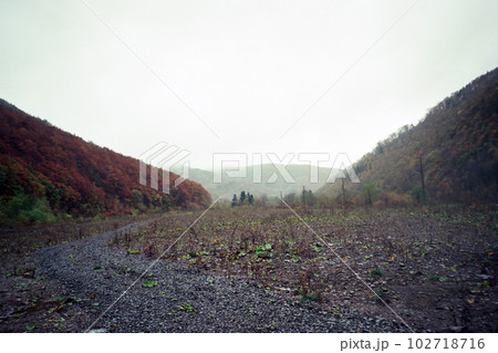鴻之舞金山 沈殿池跡 鴻之舞金山 沈殿池跡 102718716