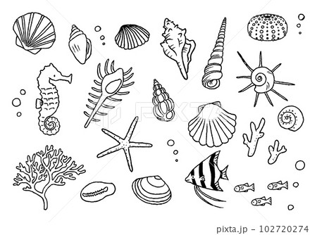 貝殻イラストセット　手描き線画 102720274