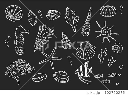 貝殻イラストセット　手描き線画　黒板アート風 102720276