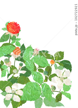 春に花咲き実になる野苺 102722921