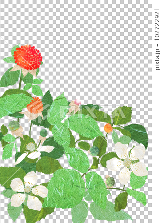 春に花咲き実になる野苺 102722921