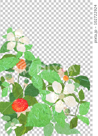 Wild strawberries with attractive red berries 102722924