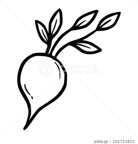 Hand drawn vegetable doodle element 102723832