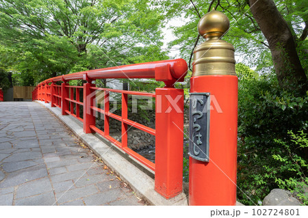 修善寺　桂橋 102724801