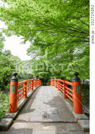 修善寺　楓橋 102724862