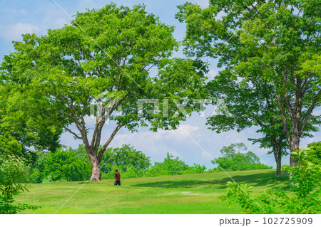 新緑の愛知県緑化センター〈愛知県豊田市〉 新緑の愛知県緑化センター〈愛知県豊田市〉 102725909