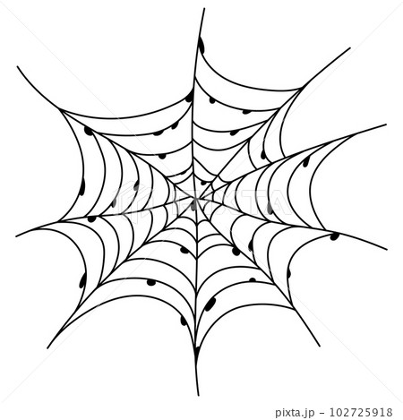Scary spider web isolated. Spooky Halloween decoration. Outline cobweb illustration 102725918