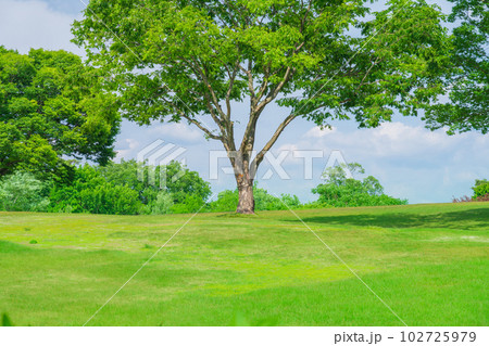 新緑の愛知県緑化センター〈愛知県豊田市〉 102725979