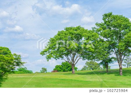 新緑の愛知県緑化センター〈愛知県豊田市〉 新緑の愛知県緑化センター〈愛知県豊田市〉 102725984