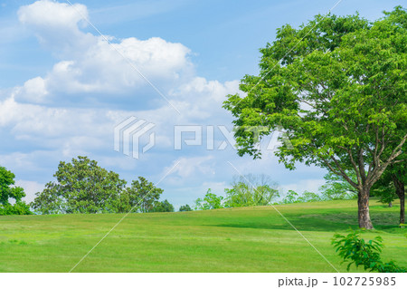 新緑の愛知県緑化センター〈愛知県豊田市〉 新緑の愛知県緑化センター〈愛知県豊田市〉 102725985