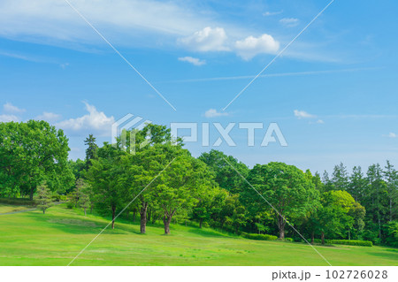 新緑の愛知県緑化センター〈愛知県豊田市〉 新緑の愛知県緑化センター〈愛知県豊田市〉 102726028