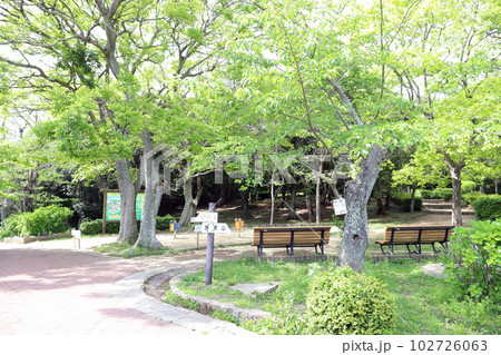 須磨浦公園 鉢伏山山頂（兵庫県 神戸市） 102726063