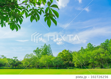 新緑の愛知県緑化センター〈愛知県豊田市〉 新緑の愛知県緑化センター〈愛知県豊田市〉 102726256