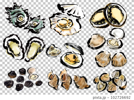 Japanese style hand drawn illustration set of shellfish 102726692