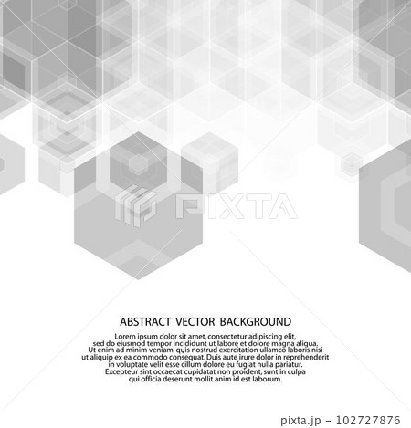 gray hexagon pattern. polygonal style. vector illustration. eps 10 gray hexagon pattern. polygonal style. vector illustration. eps 10 102727876