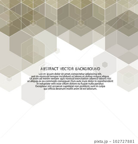 abstract gray hexagon. layout for advertising. eps 10 abstract gray hexagon. layout for advertising. eps 10 102727881