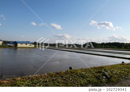 写真　田植えの準備の水張り　水鏡のような田んぼの田植えの準備 102729341