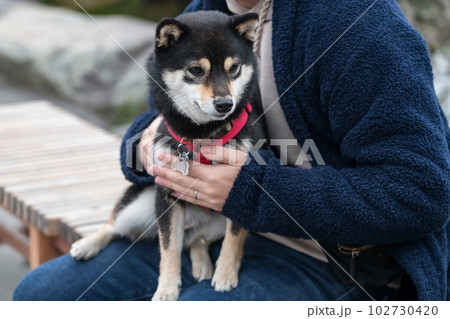 Man hug and hold adorable black akita inu dog on outdoor bench 102730420