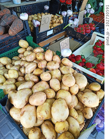 Fresh ripe young potatoes harvest on the shelves of farmer market. Food industry and consumerism concept. Agriculture. Agricultural hobby and business. Eco farming. Sustainable lifestyles Fresh ripe young potatoes harvest on the shelves of farmer market. Food industry and consumerism concept. Agriculture. Agricultural hobby and business. Eco farming. Sustainable lifestyles 102730591