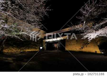 鶴ヶ城公園ライトアップ 福島県会津若松市 鶴ヶ城公園ライトアップ 福島県会津若松市 102731166