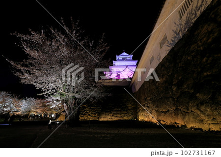 鶴ヶ城公園ライトアップ　福島県会津若松市 102731167