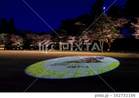 鶴ヶ城公園ライトアップ 福島県会津若松市 鶴ヶ城公園ライトアップ 福島県会津若松市 102731186