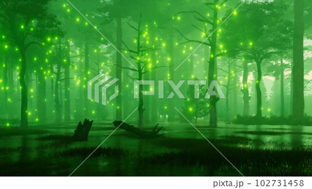 Night forest swamp with mystical fairy lights 102731458