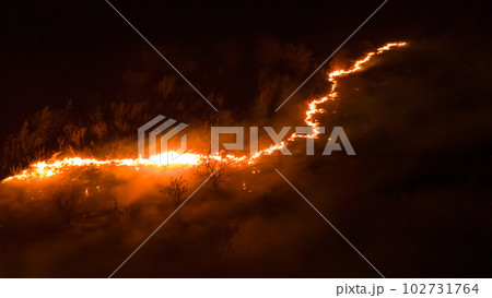 Night fire in the forest with fire and smoke.Epic aerial photo of a smoking wild flame.A blazing,glowing fire at night.Forest fires.Dry grass is burning. climate change,ecology.Line fire in the dark. Night fire in the forest with fire and smoke.Epic aerial photo of a smoking wild flame.A blazing,glowing fire at night.Forest fires.Dry grass is burning. climate change,ecology.Line fire in the dark. 102731764