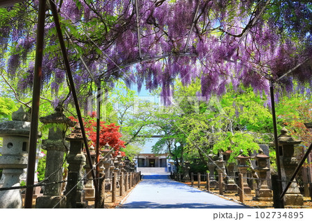 【鹿児島県】春の知覧平和公園（知覧特攻平和会館） 102734895
