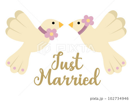 Vector wedding doves with flowers and just married inscription. Cute marriage clipart element. Newly married couple birds. Cartoon ceremony symbol illustration 102734946