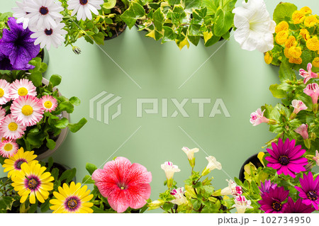 Flowers on a green background Flowers on a green background 102734950