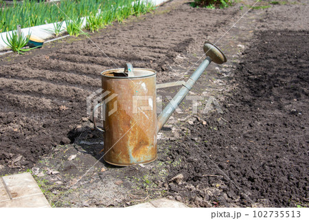 An old rusty watering can is used to water the plants in the garden. An old rusty watering can is used to water the plants in the garden. 102735513