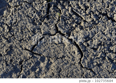 Cracked soil and sand in the desert. Cracks in the soil in summer. Drought in summer. Cracked soil and sand in the desert. Cracks in the soil in summer. Drought in summer. 102735684