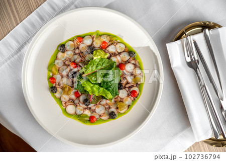 Seafood appetizer. Octopus Carpaccio on white plate. Mediterranean delicacy. Selective focus 102736794