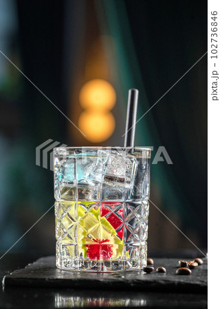 Cocktail Drink In Bar Close Up. Gin Tonic Cocktail 102736846